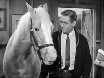 Of mr ed pictures A Mr.